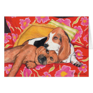 Cartão Dharma & Sophos