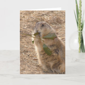 Cartão Dia da Marmota