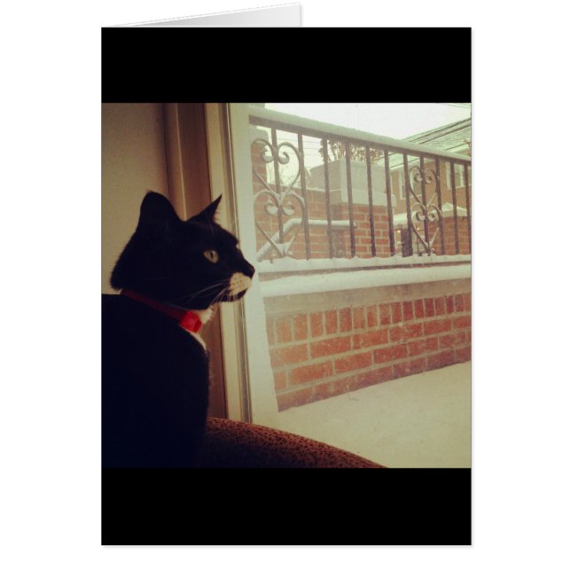 Cartão Dia da Neve da Lucy (Frente)