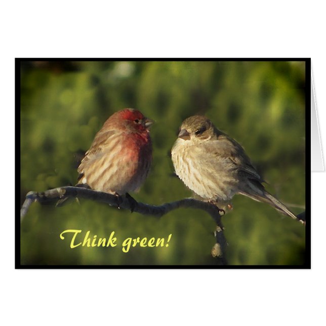 Cartão Dia da Terra dos Lovebirds (Frente horizontal)