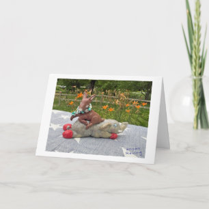 Cartão Dia das Eleições - Animais Políticos