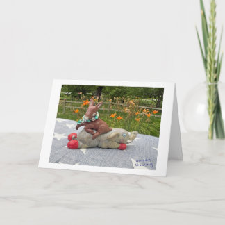 Cartão Dia das Eleições - Animais Políticos