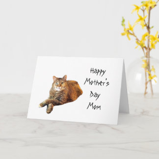 CARTÃO DIA DAS MÃES AMANTE DE GATOS 
