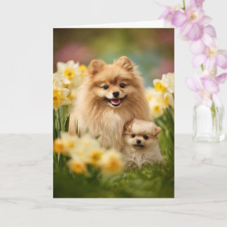 Cartão Dia das Mães Amor Mãe Pomerânia