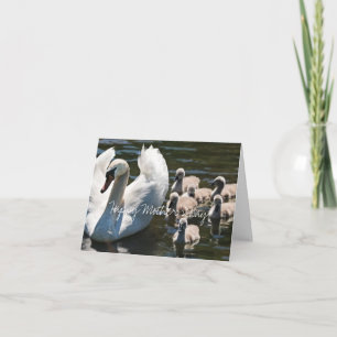 Cartão Dia das mães da família dos cisnes