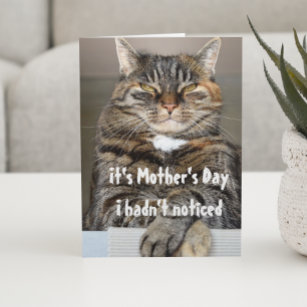 Cartão Dia das Mães de Gato Engraçado