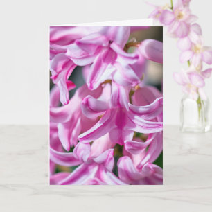 Cartão Dia das Mães Jacinto Floresce com Poema Personaliz