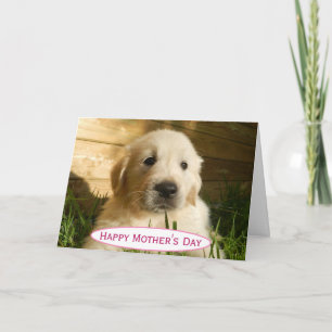 Cartão Dia das Mães Mãe de Cachorro Melhor do Mundo Foto 