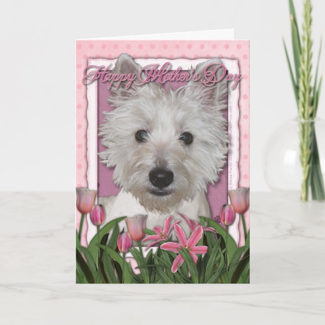 Cartão Dia das mães - tulipas cor-de-rosa - Westie (Frente)