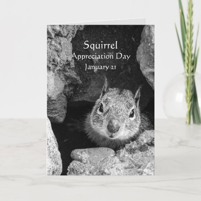 Cartão Dia de Apreciação do Esquilo Janeiro 21 Fotografia (Frente)