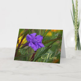 Cartão Dia de as mães Azul Mexicano Flor Petunia