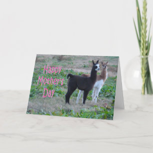 Cartão Dia de as mães card-lama crianças