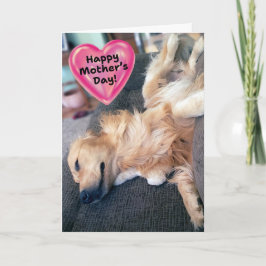 Cartão Dia de as mães de Retriever de Ouro Engraçado