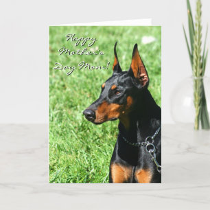 Cartão Dia de as mães Feliz, mãe Doberman.
