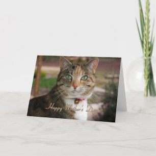 Cartão dia de as mães geral