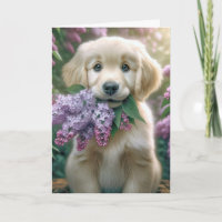 Dia de as mães Retriever Puppy Com Lilacs
