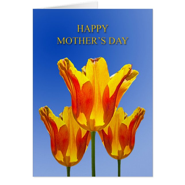 Cartão Dia de as mães, tulipas cheio de sol (Frente)