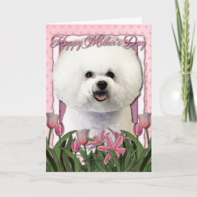 Cartão Dia de as mães - Tulipas cor-de-rosa - Bichon Fris (Frente)