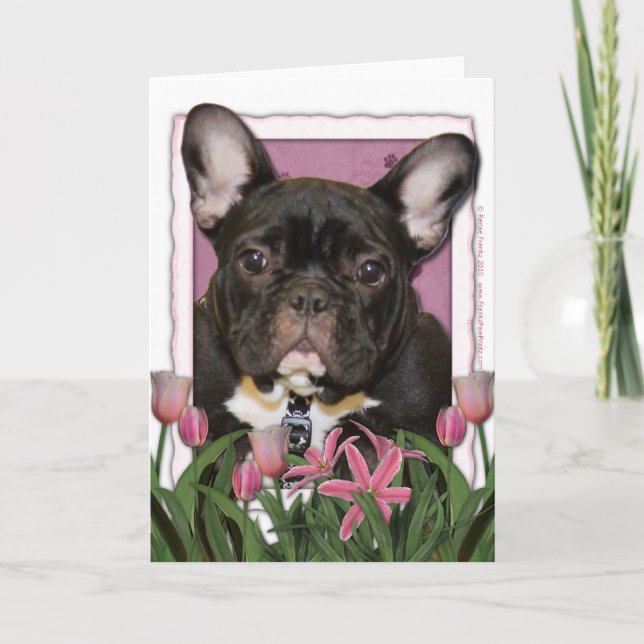 Cartão Dia de as mães - Tulipas Rosa - Frenchie - Teal (Frente)