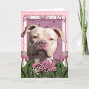 Cartão dia de as mães - Tulipas Rosa - Pitbull - Garota J