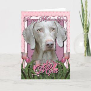 Cartão Dia de as mães - Tulipas Rosa - Weimaraner - Olhos