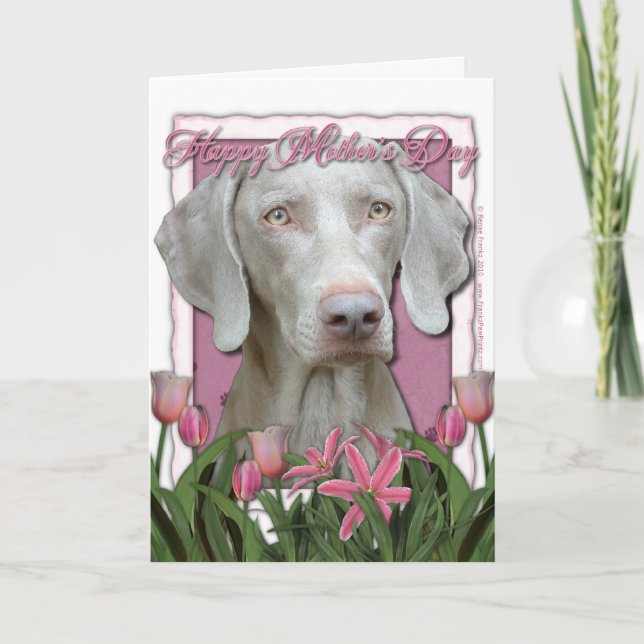 Cartão Dia de as mães - Tulipas Rosa - Weimaraner - Olhos (Frente)