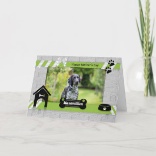 Cartão Dia de as mães Verde da Foto Canina