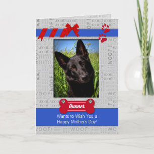 Cartão Dia de as mães Vermelho e Azul da Foto do Cão
