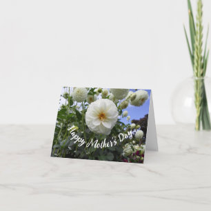 Cartão Dia de as mães White Dahlia
