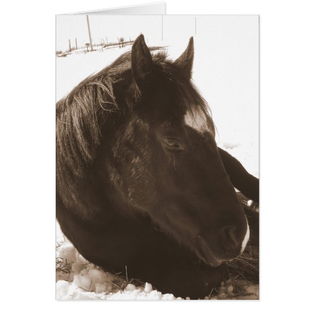 Cartão Dia de inverno preguiçoso (Frente)