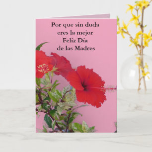 Cartão Dia de Las Madres eres la mejor 221