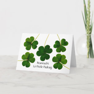 Cartão Dia de Patrick em Shamrocks Gaélico Irlandês