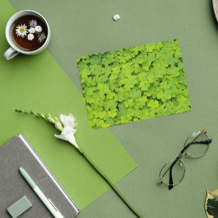 Cartão Dia de São Patrício Floral das Camarões Verdes