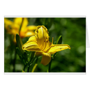 Cartão Dia de Verão