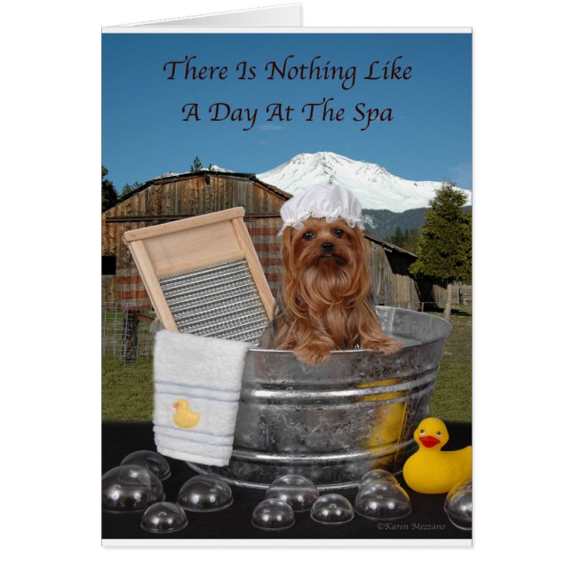 Cartão Dia De Yorkie No Spa (Frente)