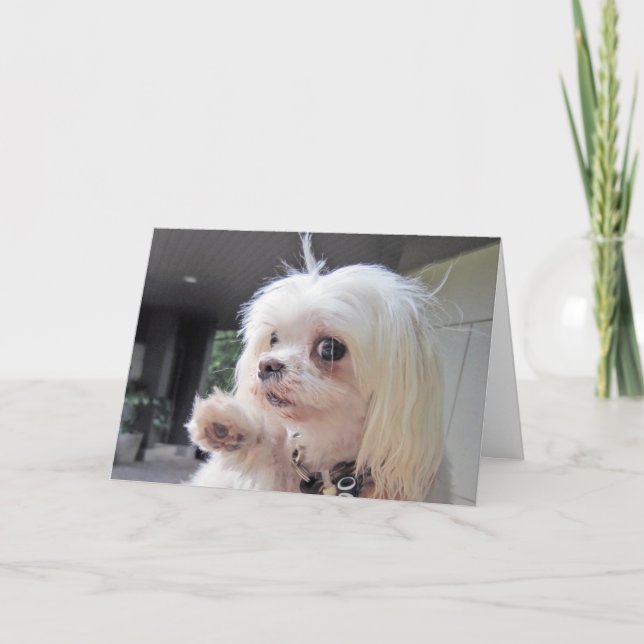 Cartão Dia do Cabelo Mau (Frente)