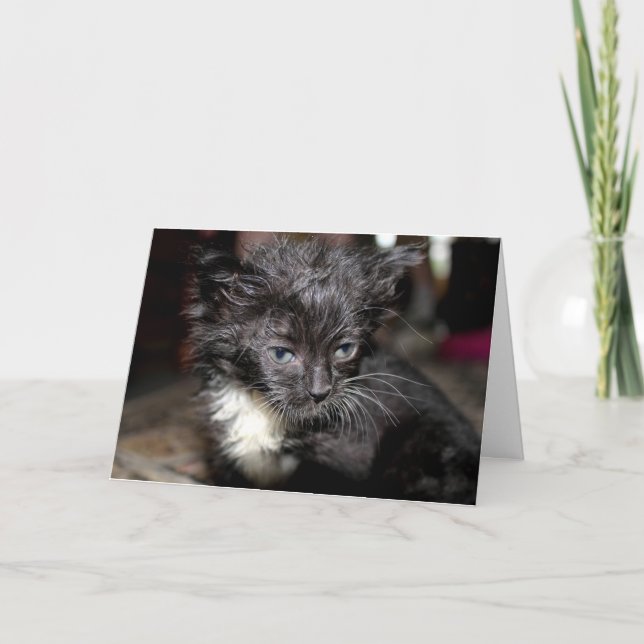 Cartão Dia do Cabelo Mau (Frente)