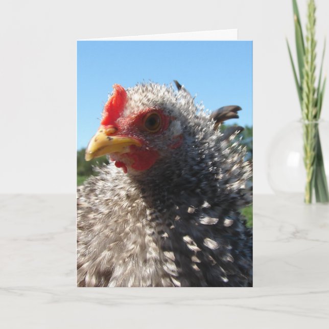 Cartão Dia do Cabelo Mau às Vezes (Frente)