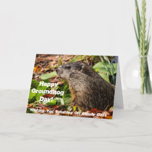 Cartão Dia do Groundhog