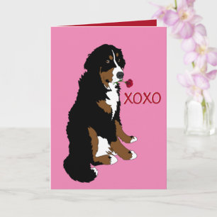 Cartão Dia do Namorados de Cachorro das Montanhas Bernese