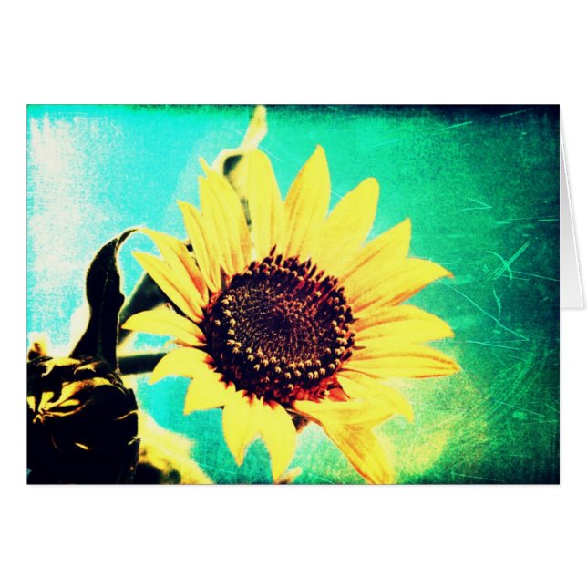 Cartão Dia do Sol (Frente Horizontal)