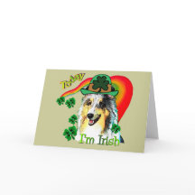 Dia do St. Patricks de Sheltie