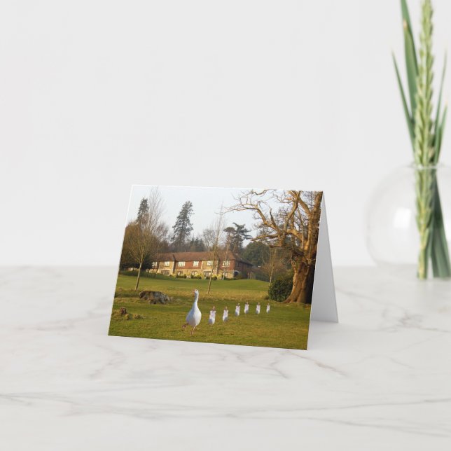 Cartão Dia dos Ganhos e Goslings (Frente)