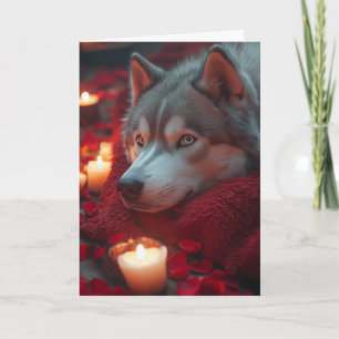 Cartão Dia dos Namorados aconchegante com Siberian Husky