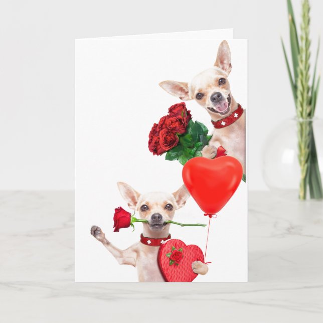 Cartão Dia dos Namorados Chihuahuas Engraçados com Rosas (Frente)