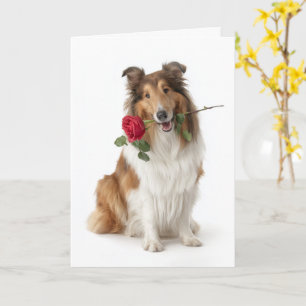 Cartão Dia dos Namorados Collie – Amor Gentil com uma Ros
