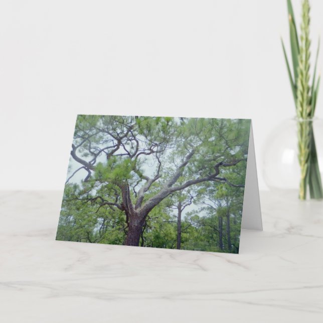 Cartão Dia dos pais feliz (Frente)