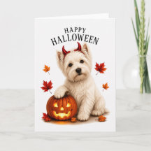 Diabo Cão Westie Highland White
