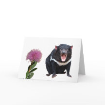 Diabo e escova de fundo da Tasmania