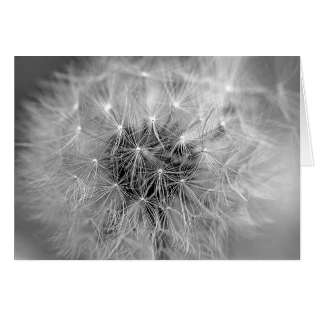 Cartão Diafanoso (Frente Horizontal)